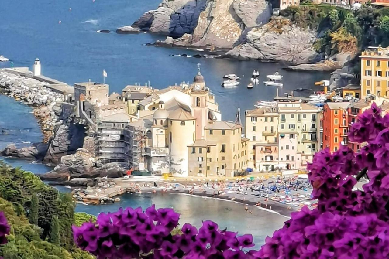 Rosablu Vacanza Tra Mare E Parco Di Portofino Camogli Exteriér fotografie