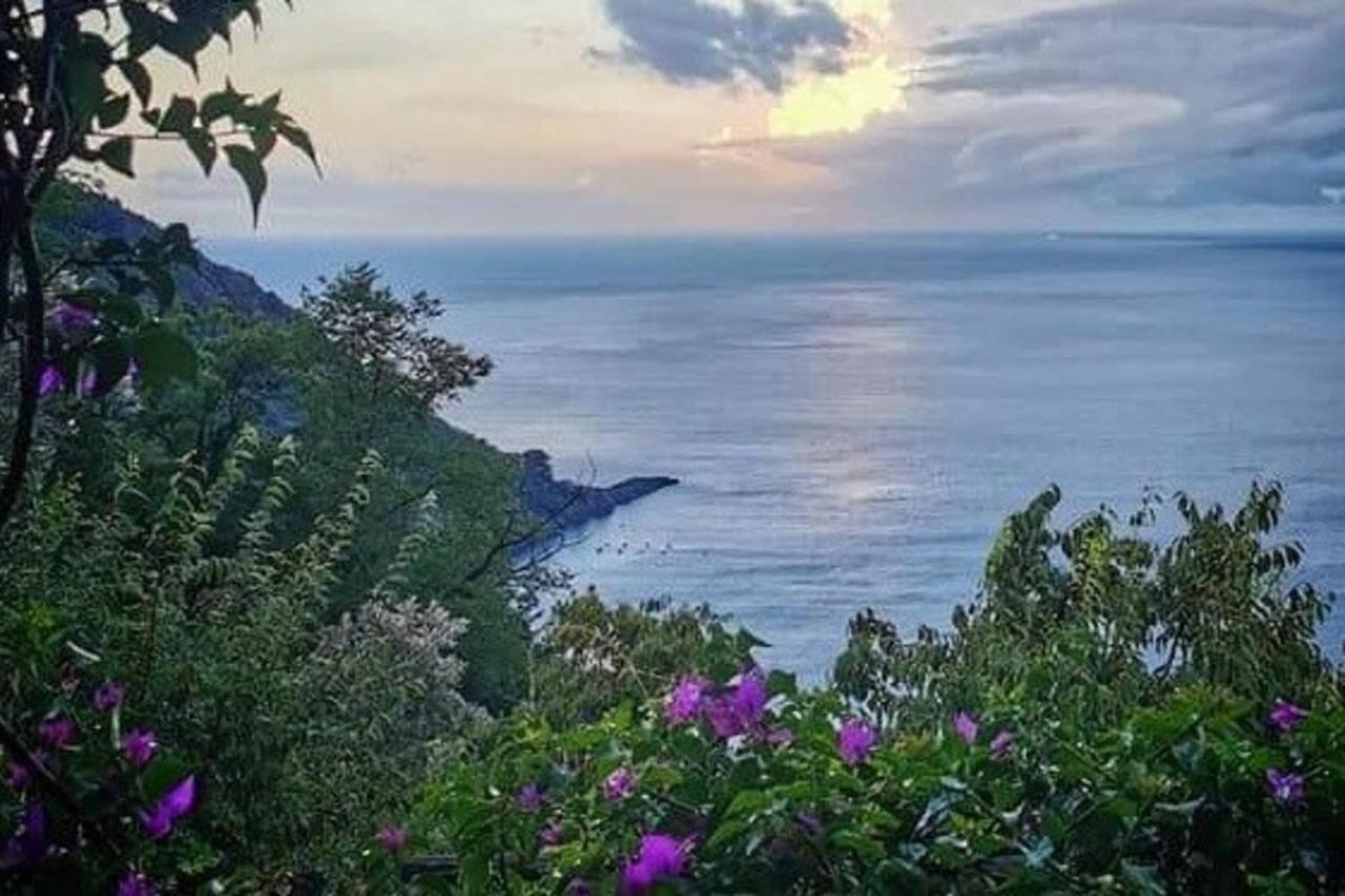 Rosablu Vacanza Tra Mare E Parco Di Portofino Camogli Exteriér fotografie