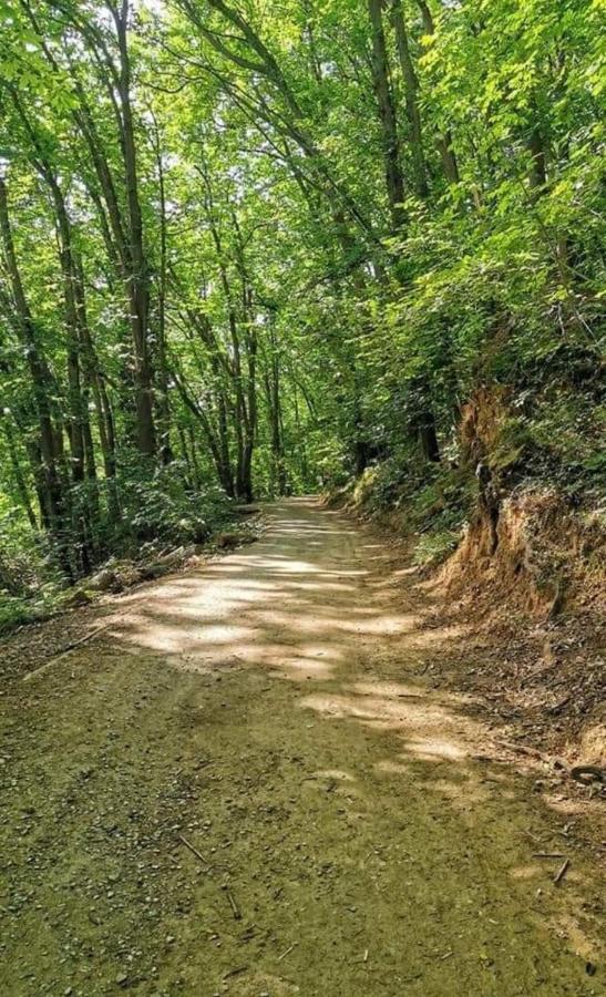 Rosablu Vacanza Tra Mare E Parco Di Portofino Camogli Exteriér fotografie