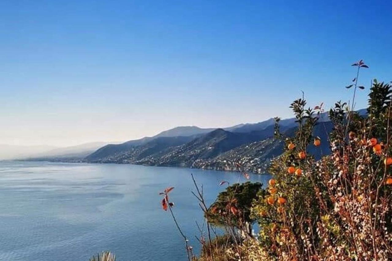 Rosablu Vacanza Tra Mare E Parco Di Portofino Camogli Exteriér fotografie