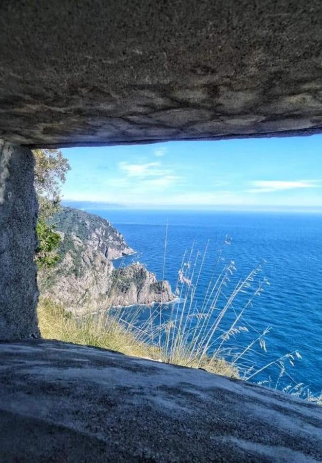 Rosablu Vacanza Tra Mare E Parco Di Portofino Camogli Exteriér fotografie