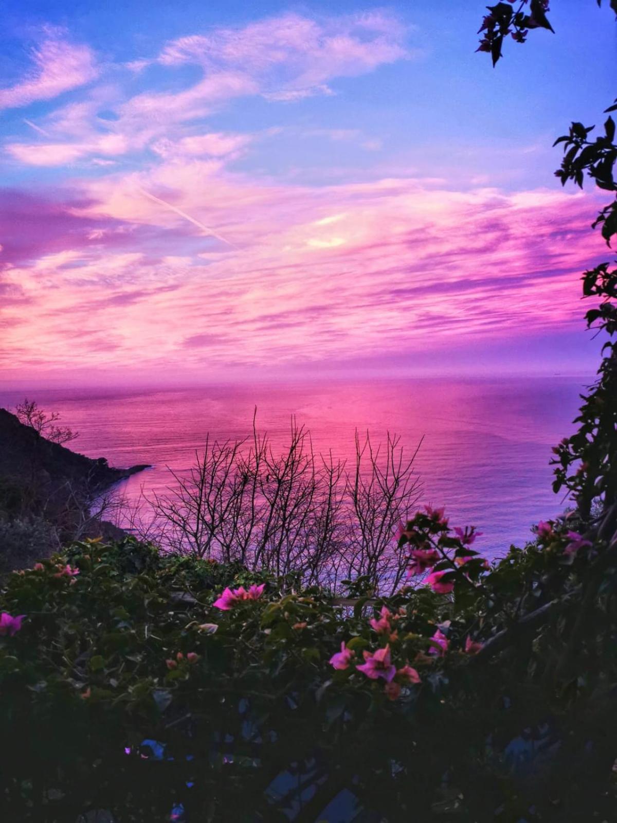 Rosablu Vacanza Tra Mare E Parco Di Portofino Camogli Exteriér fotografie